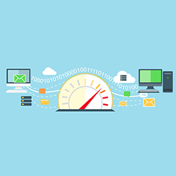 الشبكة الداخلية للشركة